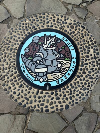 これはポケふたです。